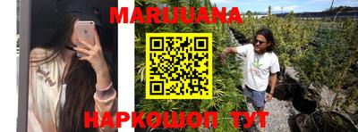 индика Кандалакша