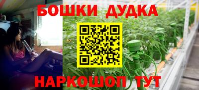 индика Кандалакша