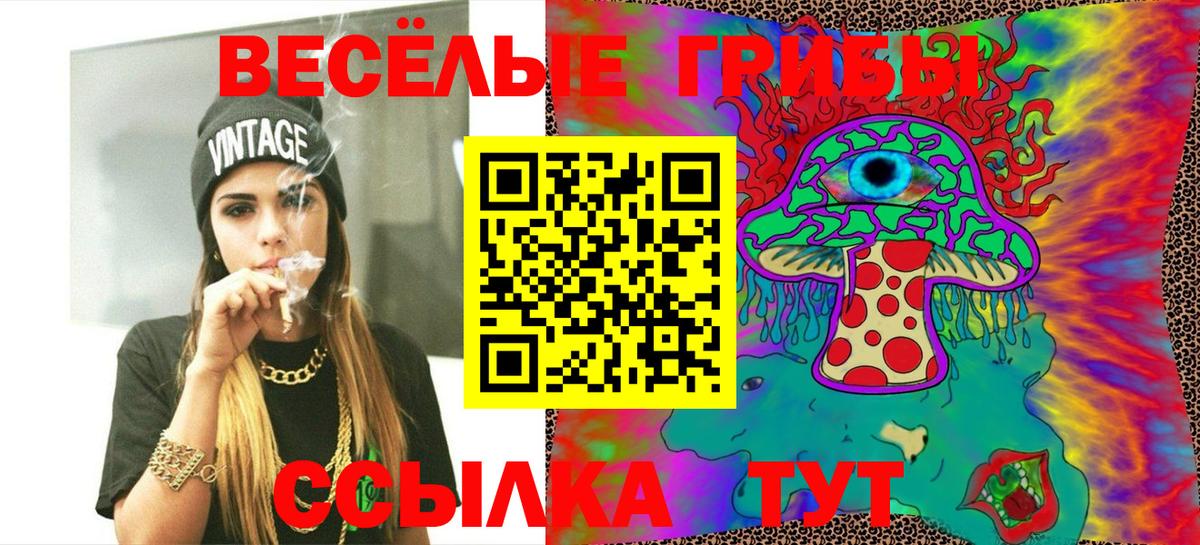 цена   Вход с VPN  Бутурлиновка  Галлюциногенные грибы Psilocybine cubensis 