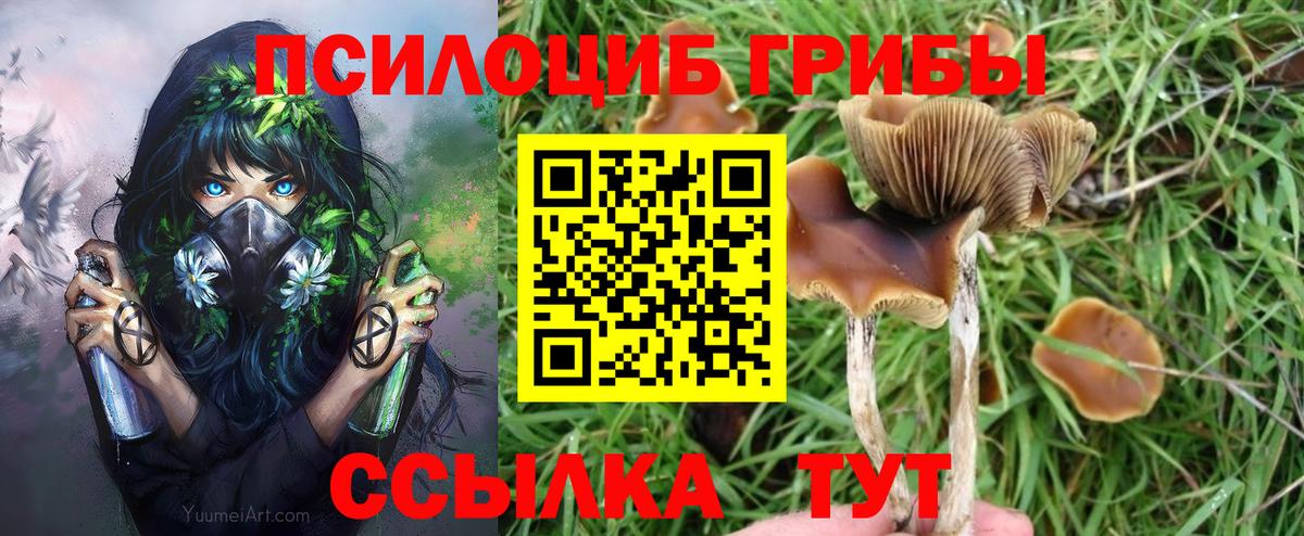 Псилоцибиновые грибы мухоморы Бутурлиновка